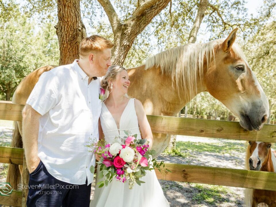 pink-floral-hacienda-wedding-newlyweds-with-horse