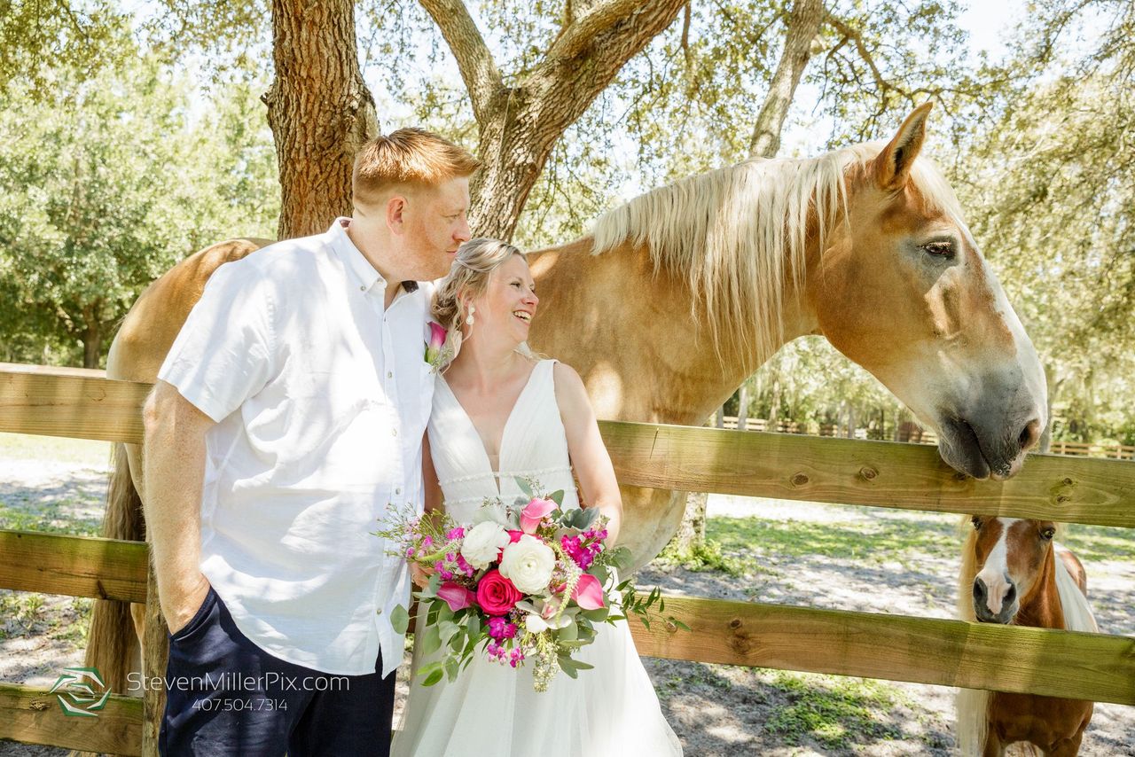 pink-floral-hacienda-wedding-newlyweds-with-horse