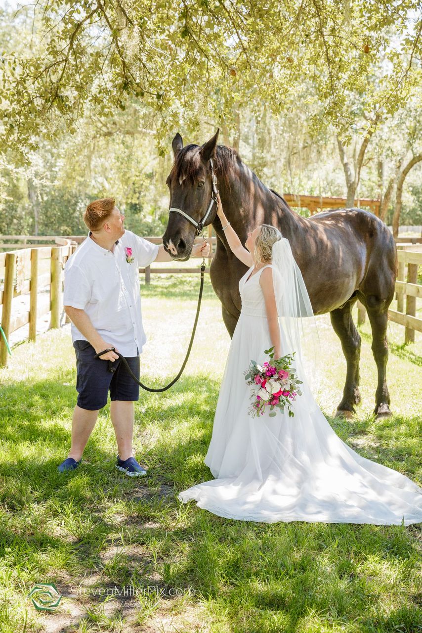 pink-floral-hacienda-wedding-with-horses