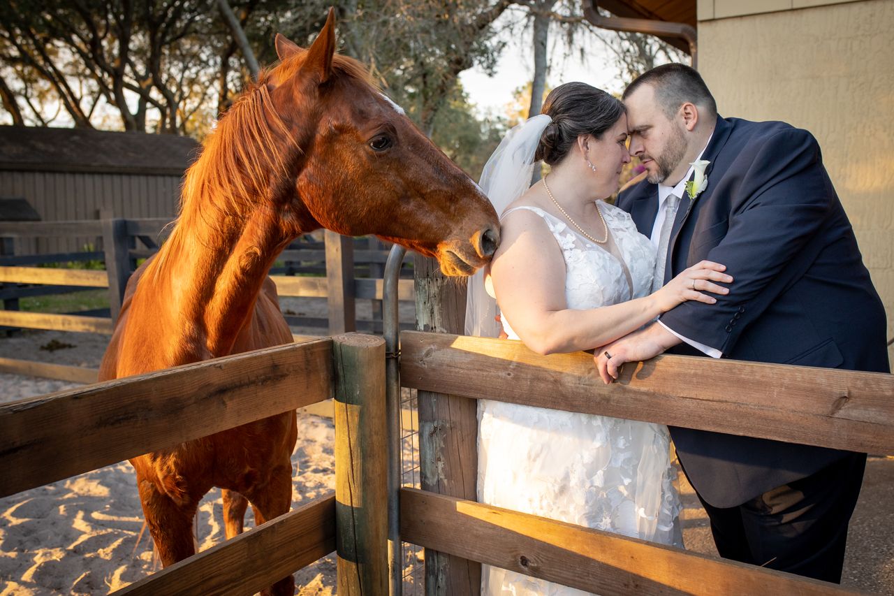 BLB-Hacienda-Horse-Taking-Photo-With-Bride-And-Groom