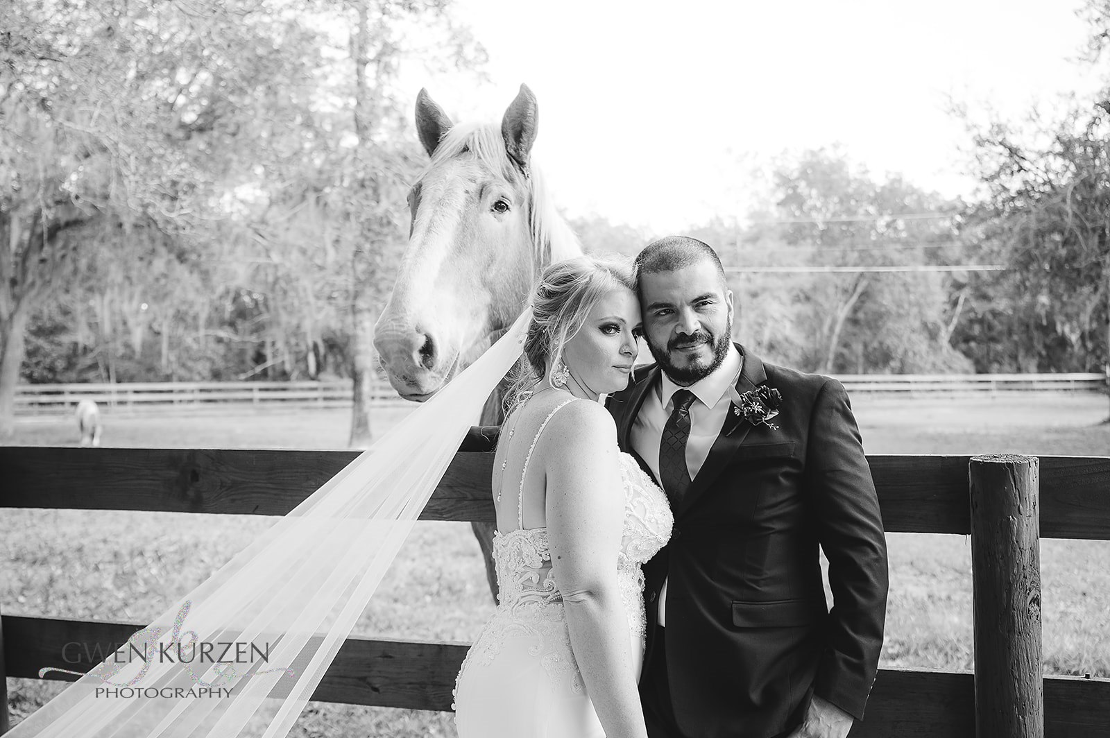 Portraits-with-BLB-Hacienda-Horses