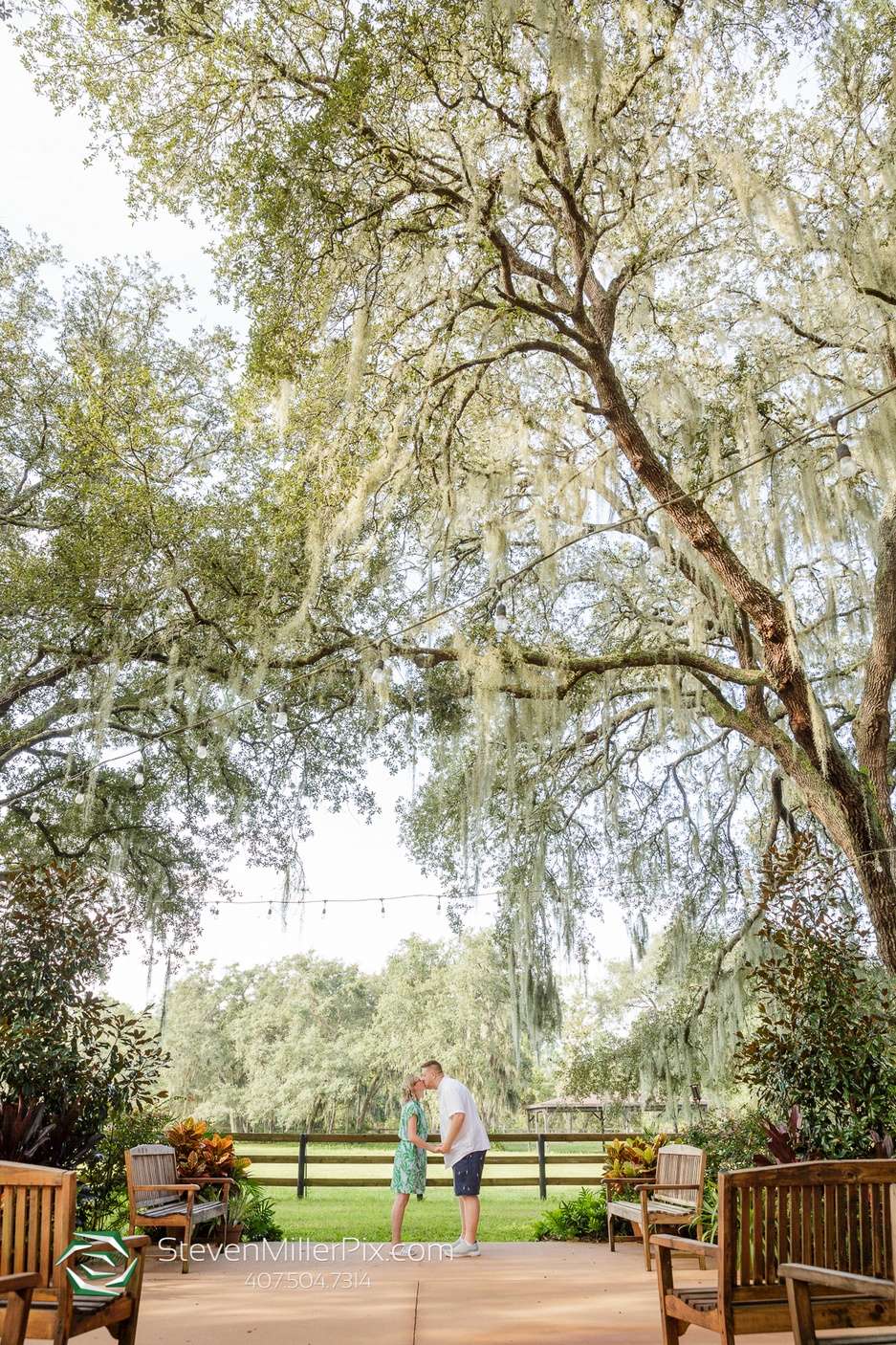 A panned out picture of a couple sharing a kiss under a beautiful large tree