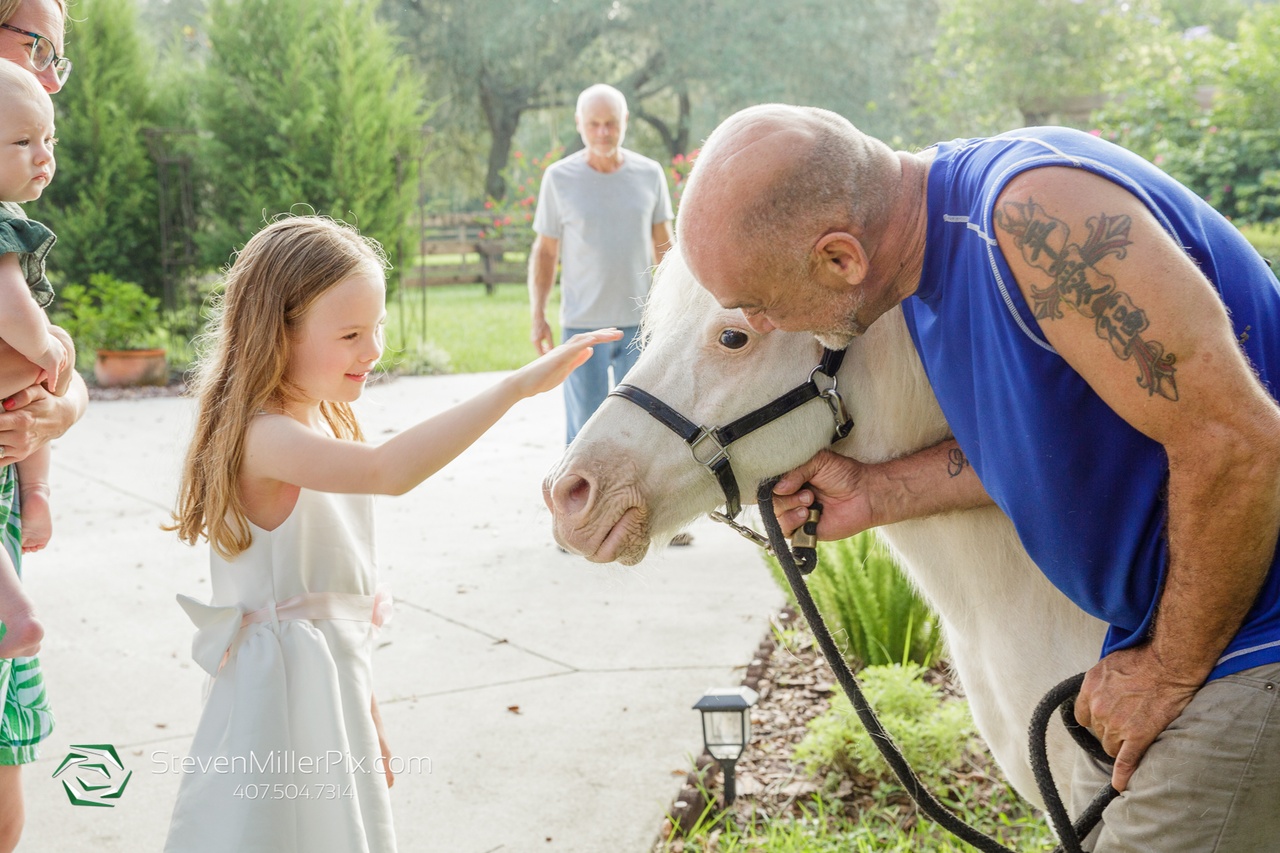 The little girl standing in front of the horse bandit who is being held by his handler while she pets him