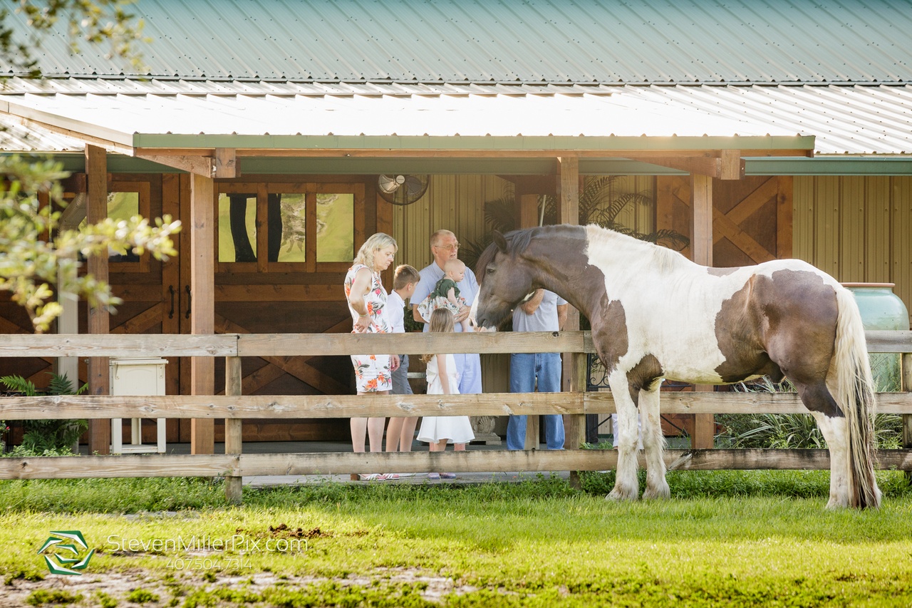 The couple and their kids at the barn at BLB Hacienda petting the horses and seeing their furry friends again 